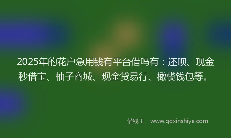 2025年的花户急用钱有平台借吗有：还呗、现金秒借宝、柚子商城、现金贷易行、橄榄钱包等。