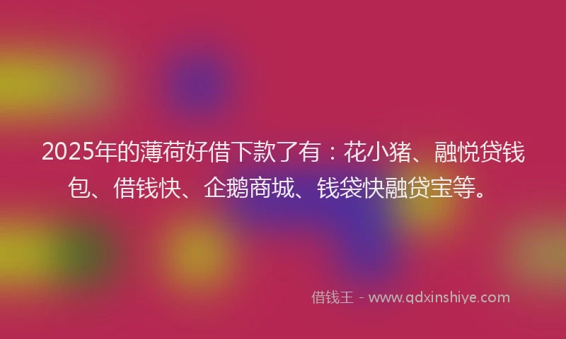2025年的薄荷好借下款了有：花小猪、融悦贷钱包、借钱快、企鹅商城、钱袋快融贷宝等。