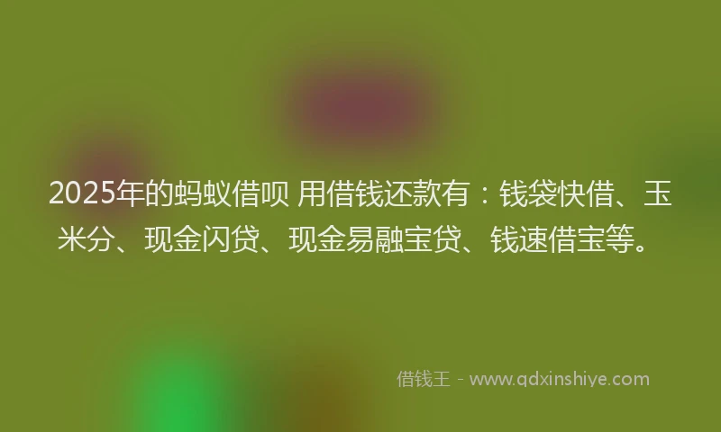 2025年的蚂蚁借呗 用借钱还款有：钱袋快借、玉米分、现金闪贷、现金易融宝贷、钱速借宝等。