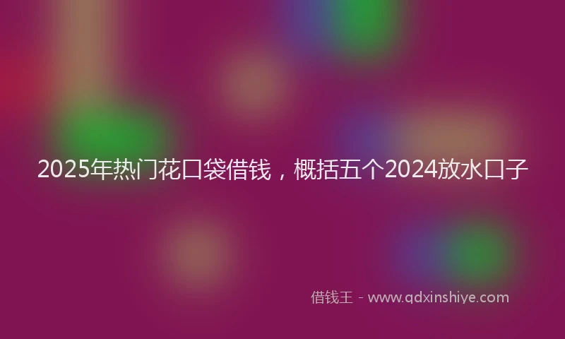 2025年热门花口袋借钱，概括五个2024放水口子