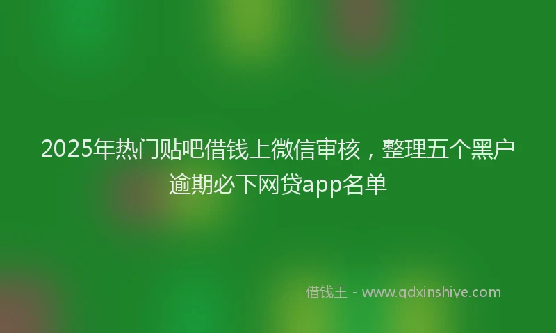 2025年热门贴吧借钱上微信审核，整理五个黑户逾期必下网贷app名单