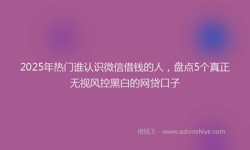 2025年热门谁认识微信借钱的人，盘点5个真正无视风控黑白的网贷口子