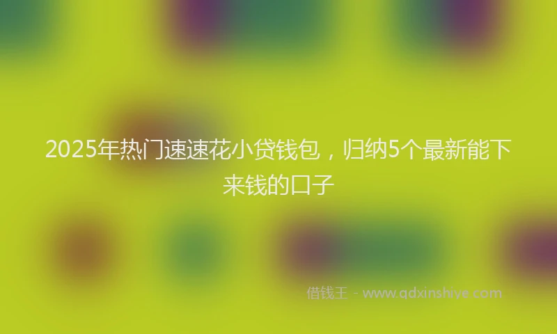 2025年热门速速花小贷钱包，归纳5个最新能下来钱的口子