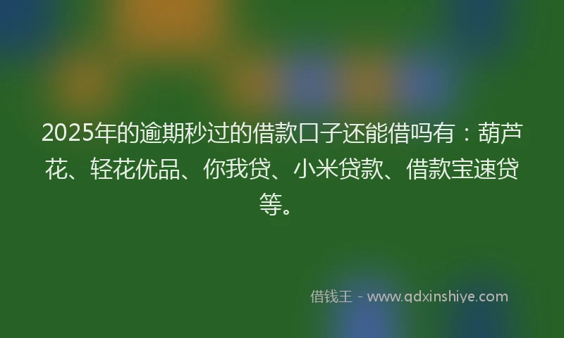 2025年的逾期秒过的借款口子还能借吗有:葫芦花、轻花优品、你我贷、小米贷款、借款宝速贷等。