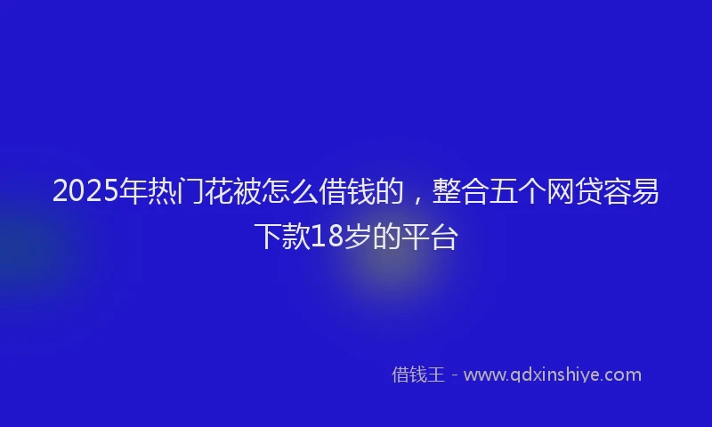 2025年热门花被怎么借钱的，整合五个网贷容易下款18岁的平台