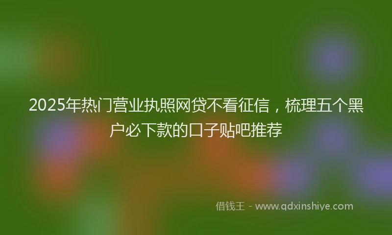 2025年热门营业执照网贷不看征信，梳理五个黑户必下款的口子贴吧推荐