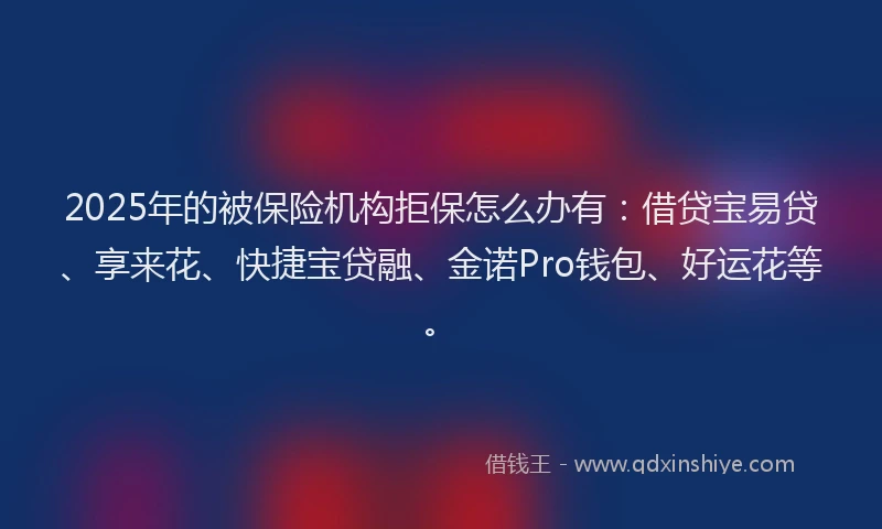 2025年的被保险机构拒保怎么办有：借贷宝易贷、享来花、快捷宝贷融、金诺Pro钱包、好运花等。