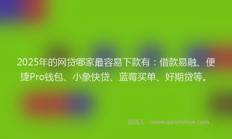2025年的网贷哪家最容易下款有：借款易融、便捷Pro钱包、小象快贷、蓝莓买单、好期贷等。