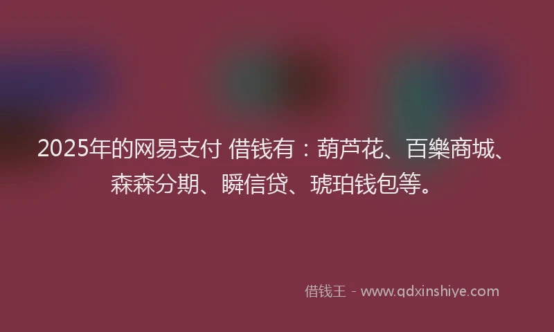 2025年的网易支付 借钱有：葫芦花、百樂商城、森森分期、瞬信贷、琥珀钱包等。