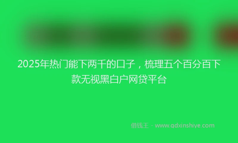 2025年热门能下两千的口子，梳理五个百分百下款无视黑白户网贷平台