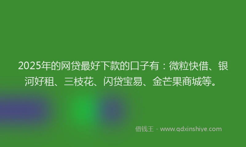 2025年的网贷最好下款的口子有：微粒快借、银河好租、三枝花、闪贷宝易、金芒果商城等。
