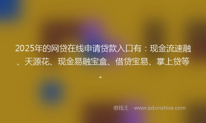 2025年的网贷在线申请贷款入口有：现金流速融、天源花、现金易融宝盒、借贷宝易、掌上贷等。