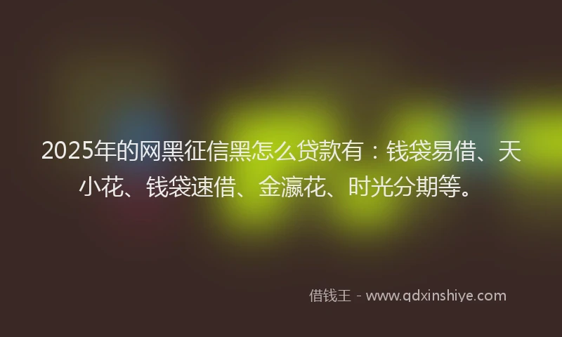 2025年的网黑征信黑怎么贷款有：钱袋易借、天小花、钱袋速借、金瀛花、时光分期等。