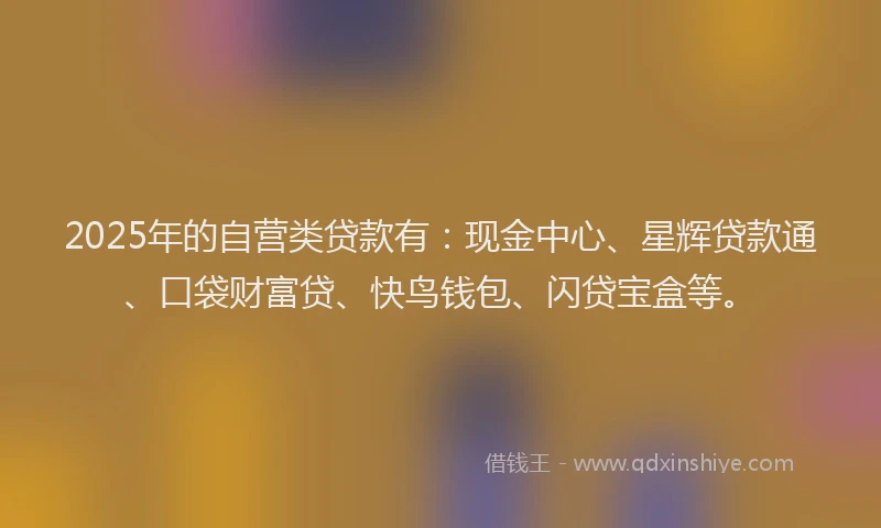2025年的自营类贷款有：现金中心、星辉贷款通、口袋财富贷、快鸟钱包、闪贷宝盒等。
