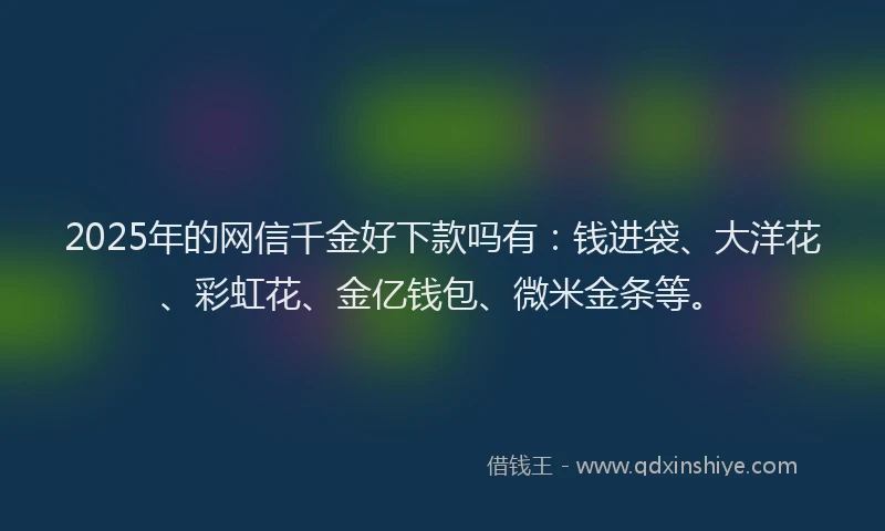 2025年的网信千金好下款吗有：钱进袋、大洋花、彩虹花、金亿钱包、微米金条等。