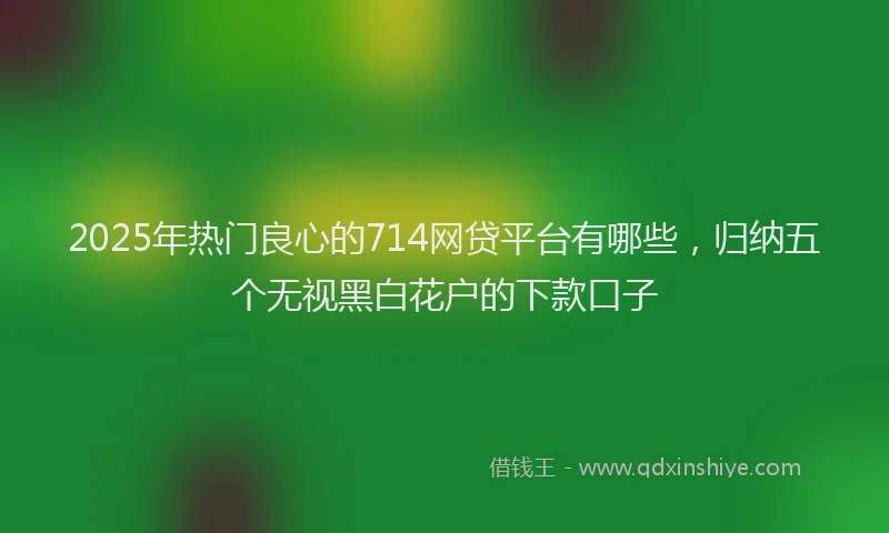 2025年热门良心的714网贷平台有哪些，归纳五个无视黑白花户的下款口子