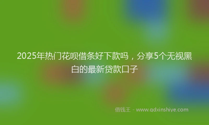 2025年热门花呗借条好下款吗，分享5个无视黑白的最新贷款口子