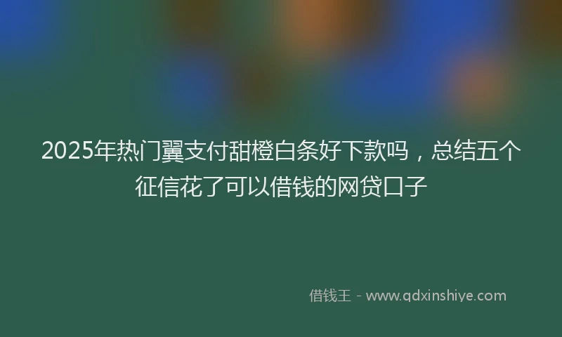 2025年热门翼支付甜橙白条好下款吗，总结五个征信花了可以借钱的网贷口子