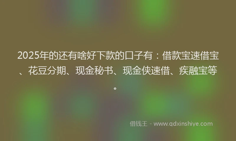 2025年的还有啥好下款的口子有：借款宝速借宝、花豆分期、现金秘书、现金侠速借、疾融宝等。