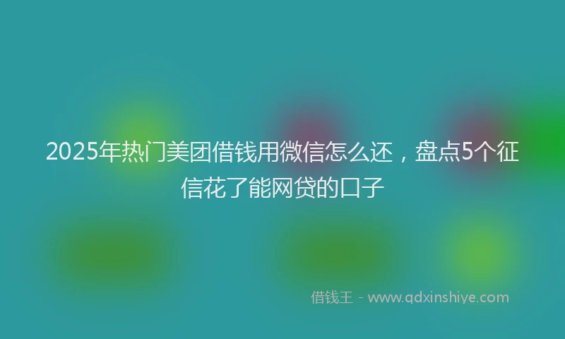 2025年热门美团借钱用微信怎么还，盘点5个征信花了能网贷的口子