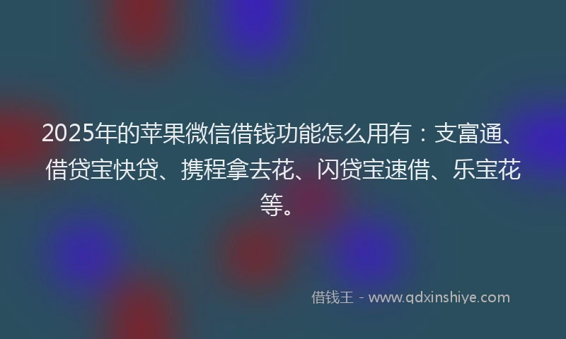 2025年的苹果微信借钱功能怎么用有：支富通、借贷宝快贷、携程拿去花、闪贷宝速借、乐宝花等。