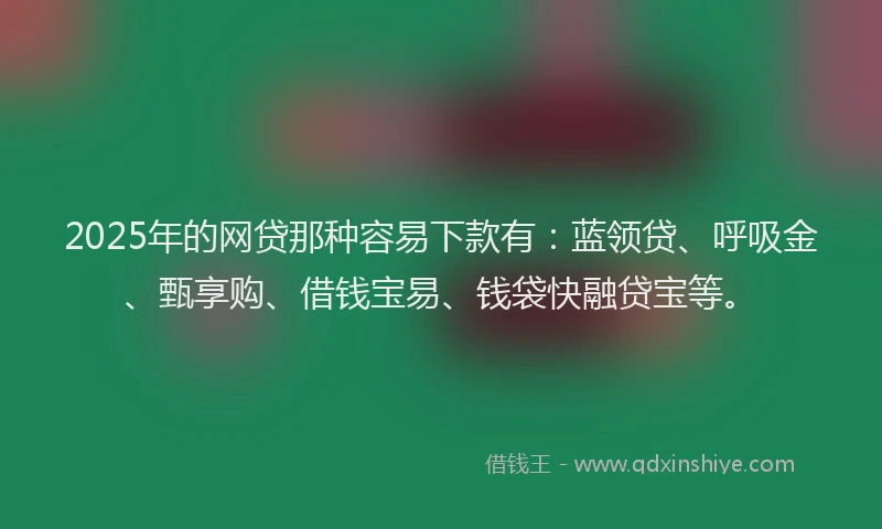 2025年的网贷那种容易下款有：蓝领贷、呼吸金、甄享购、借钱宝易、钱袋快融贷宝等。