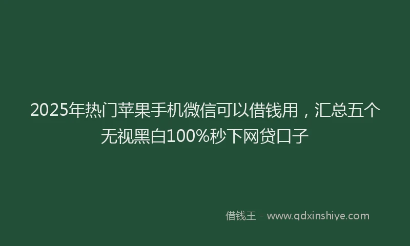 2025年热门苹果手机微信可以借钱用，汇总五个无视黑白100%秒下网贷口子