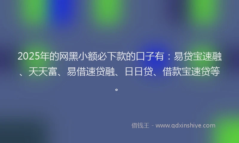 2025年的网黑小额必下款的口子有：易贷宝速融、天天富、易借速贷融、日日贷、借款宝速贷等。