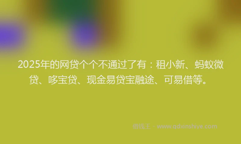 2025年的网贷个个不通过了有：租小新、蚂蚁微贷、哆宝贷、现金易贷宝融途、可易借等。