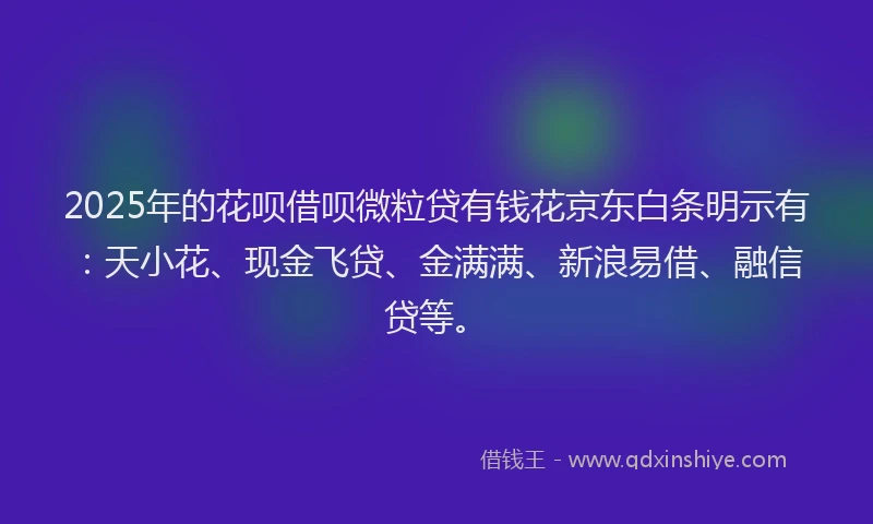 2025年的花呗借呗微粒贷有钱花京东白条明示有：天小花、现金飞贷、金满满、新浪易借、融信贷等。