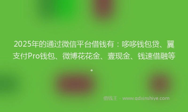2025年的通过微信平台借钱有：哆哆钱包贷、翼支付Pro钱包、微博花花金、壹现金、钱速借融等。