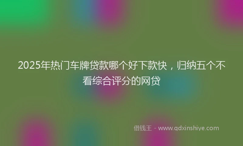 2025年热门车牌贷款哪个好下款快，归纳五个不看综合评分的网贷