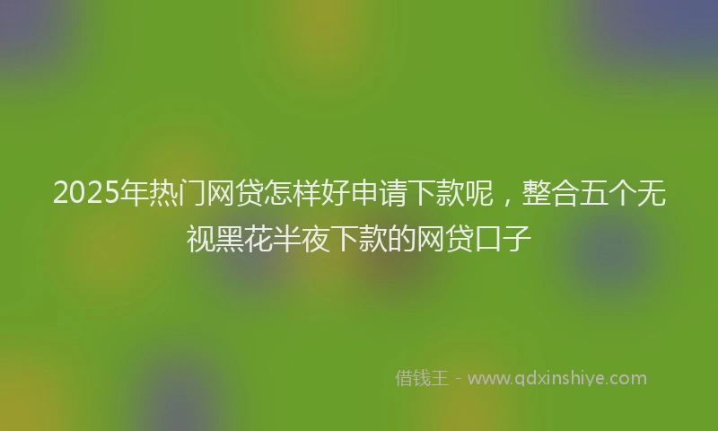 2025年热门网贷怎样好申请下款呢，整合五个无视黑花半夜下款的网贷口子