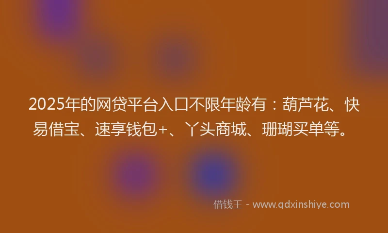 2025年的网贷平台入口不限年龄有：葫芦花、快易借宝、速享钱包+、丫头商城、珊瑚买单等。