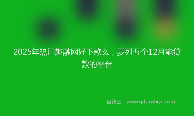 2025年热门趣融网好下款么，罗列五个12月能贷款的平台