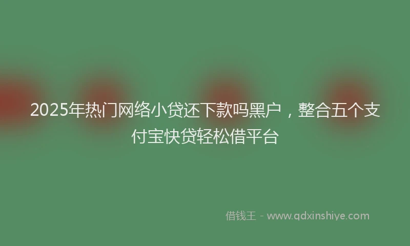2025年热门网络小贷还下款吗黑户，整合五个支付宝快贷轻松借平台