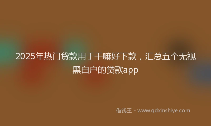 2025年热门贷款用于干嘛好下款，汇总五个无视黑白户的贷款app