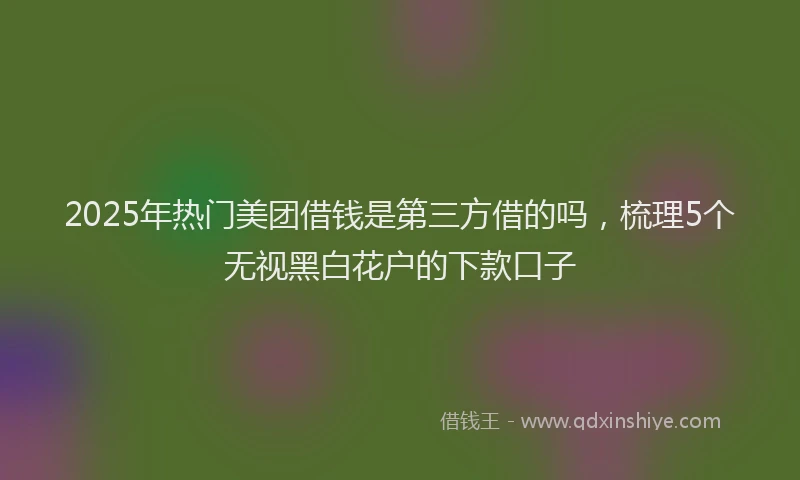 2025年热门美团借钱是第三方借的吗，梳理5个无视黑白花户的下款口子