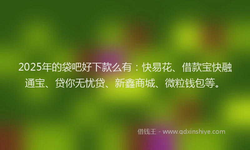 2025年的袋吧好下款么有：快易花、借款宝快融通宝、贷你无忧贷、新鑫商城、微粒钱包等。