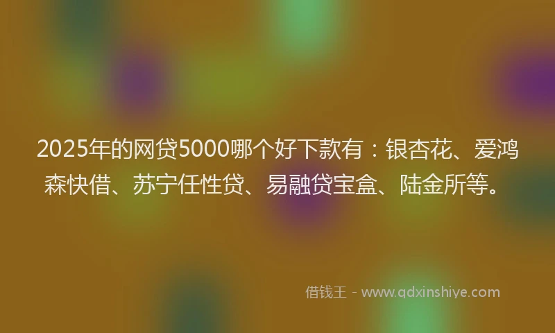 2025年的网贷5000哪个好下款有：银杏花、爱鸿森快借、苏宁任性贷、易融贷宝盒、陆金所等。