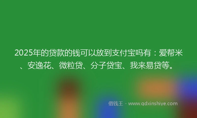 2025年的贷款的钱可以放到支付宝吗有：爱帮米、安逸花、微粒贷、分子贷宝、我来易贷等。