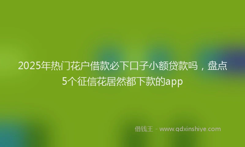 2025年热门花户借款必下口子小额贷款吗，盘点5个征信花居然都下款的app