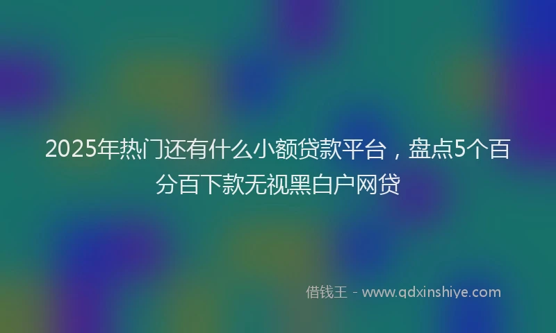 2025年热门还有什么小额贷款平台，盘点5个百分百下款无视黑白户网贷