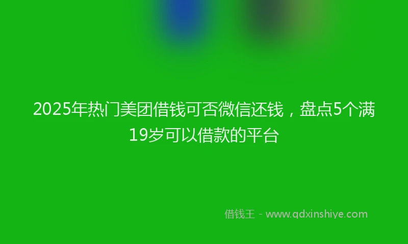 2025年热门美团借钱可否微信还钱，盘点5个满19岁可以借款的平台