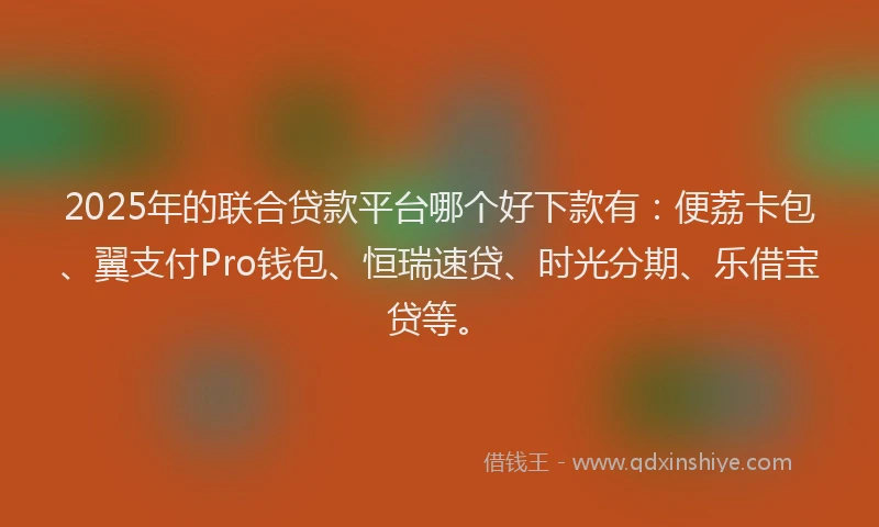 2025年的联合贷款平台哪个好下款有：便荔卡包、翼支付Pro钱包、恒瑞速贷、时光分期、乐借宝贷等。