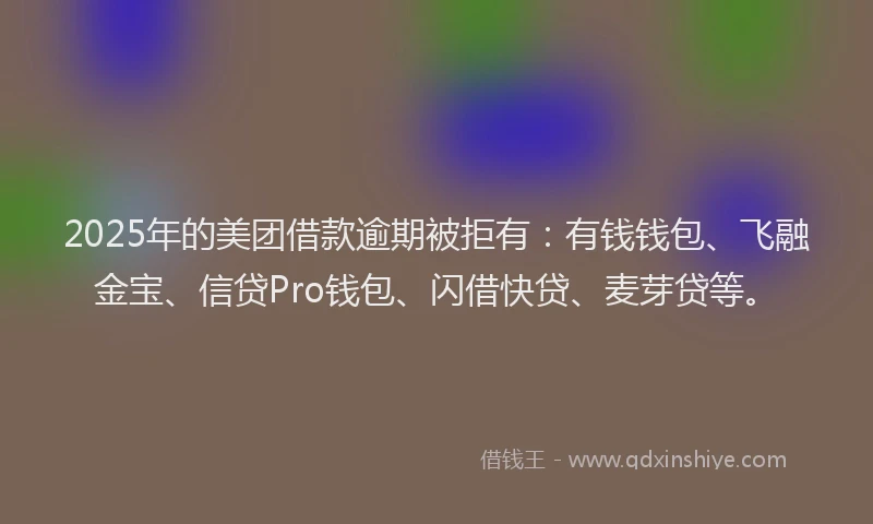 2025年的美团借款逾期被拒有：有钱钱包、飞融金宝、信贷Pro钱包、闪借快贷、麦芽贷等。