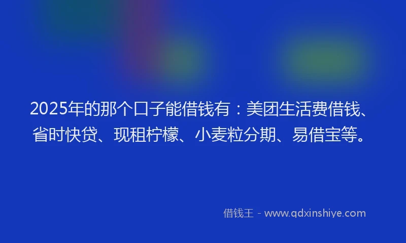 2025年的那个口子能借钱有：美团生活费借钱、省时快贷、现租柠檬、小麦粒分期、易借宝等。