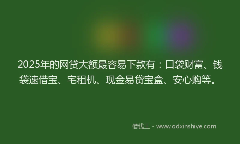 2025年的网贷大额最容易下款有：口袋财富、钱袋速借宝、宅租机、现金易贷宝盒、安心购等。
