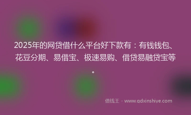 2025年的网贷借什么平台好下款有：有钱钱包、花豆分期、易借宝、极速易购、借贷易融贷宝等。