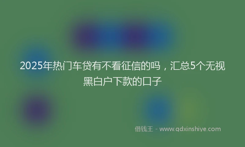 2025年热门车贷有不看征信的吗，汇总5个无视黑白户下款的口子